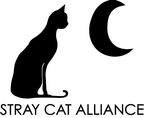 Stray cat alliance. Things To Know About Stray cat alliance. 